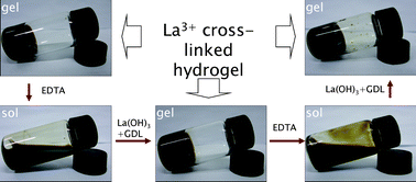 Graphical abstract: Glucono-δ-lactone controlled assembly of graphene oxide hydrogels with selectively reversible gel–sol transition