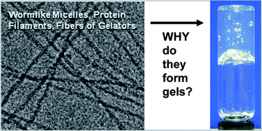 Graphical abstract: The conundrum of gel formation by molecular nanofibers, wormlike micelles, and filamentous proteins: gelation without cross-links?