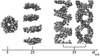 Graphical abstract: Self-assembly of double hydrophilic block copolymer–nanoparticle mixtures within nanotubes
