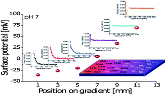 Graphical abstract: pH-tunable gradients of wettability and surface potential