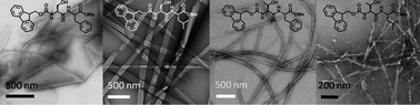 Graphical abstract: Sequence/structure relationships in aromatic dipeptide hydrogels formed under thermodynamic control by enzyme-assisted self-assembly