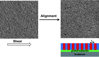 Graphical abstract: Alignment of perpendicular lamellae in block copolymer thin films by shearing