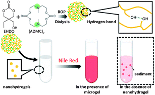 Graphical abstract: A pH-sensitive macro- and nanohydrogel constructed from cationic hydroxyl-containing hyperbranched polycarbonate