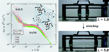 Graphical abstract: Structure-mechanical property relationship of tough hydrogels