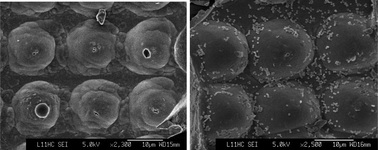 Graphical abstract: Hierarchical structured sol–gel coating by laser textured template imprinting for surface superhydrophobicity