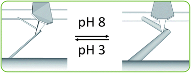Graphical abstract: Actuating individual electrospun hydrogel nanofibres