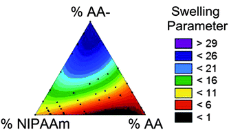 Graphical abstract: Competitive swelling forces and interpolymer complexation in pH- and temperature-sensitive interpenetrating network hydrogels