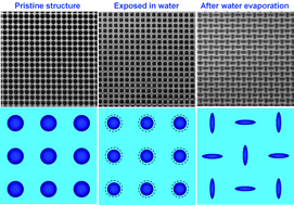 Graphical abstract: Capillarity induced instability in responsive hydrogel membranes with periodic hole array
