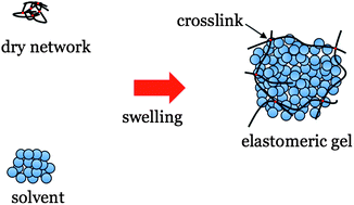 Graphical abstract: Experimental determination of equations of state for ideal elastomeric gels