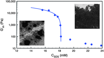 Graphical abstract: Making an elastomeric composite material via the heteroaggregation of a binary colloidal dispersion