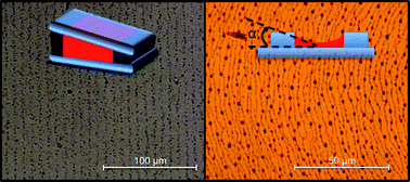 Graphical abstract: Reversible long-range patterning of gold nanoparticles by smectic liquid crystals