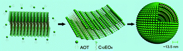 Graphical abstract: Self-assembly of onion-like vesicles induced by charge and rheological properties in anionic–nonionic surfactant solutions