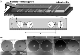 Graphical abstract: Direction specific adhesion induced by subsurface liquid filled microchannels
