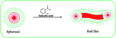 Graphical abstract: Room temperature sphere-to-rod growth of Pluronic® P85 micelles induced by salicylic acid