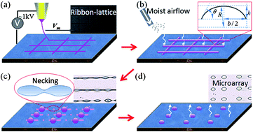 Graphical abstract: Controllable self-organization of colloid microarrays based on finite length effects of electrospun ribbons