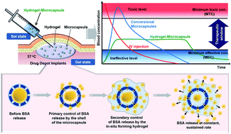 Graphical abstract: Injectable in situ-forming hydrogels for a suppression of drug burst from drug-loaded microcapsules