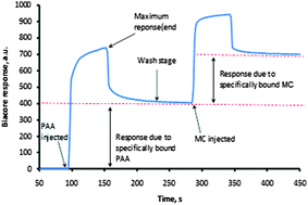 Graphical abstract: Optimizing layer-by-layer deposition of interpolymer complexes on solid substrates using Biacore