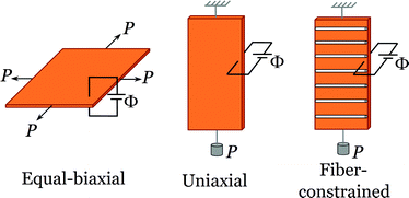 Graphical abstract: Dielectric elastomer actuators under equal-biaxial forces, uniaxial forces, and uniaxial constraint of stiff fibers