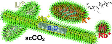 Graphical abstract: Design principles for supercritical CO2 viscosifiers