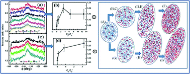 Graphical abstract: Anomalous structural and dynamical phase transitions of soft colloidal binary mixtures