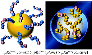 Graphical abstract: Stimuli-responsive polymers grafted to nanopores and other nano-curved surfaces: structure, chemical equilibrium and transport