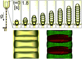 Graphical abstract: The structure and stability of multiple micro-droplets