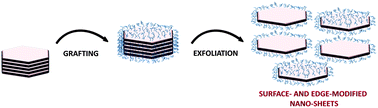 Graphical abstract: Pickering emulsions stabilized by amphiphilic nano-sheets