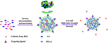 Graphical abstract: Synthesis and characterization of pH-sensitive poly(N-2-hydroxyethyl acrylamide)–acrylic acid (poly(HEAA/AA)) nanogels with antifouling protection for controlled release