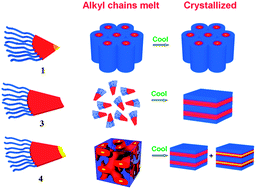 Graphical abstract: Gyroid nanostructure through manipulation of unique molecular shape, polarity and functionalization of a Janus amphiphilic codendrimer