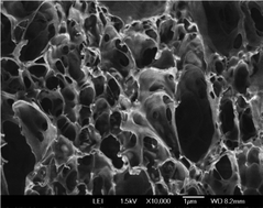 Graphical abstract: The role of cellulose nanofibres in supercritical foaming of polylactic acid and their effect on the foam morphology