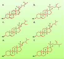 Graphical abstract: Phase behavior of phospholipid–phytosterol membranes