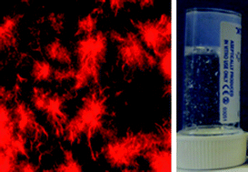 Graphical abstract: The effect of polymer additives on the rheological properties of dipeptide hydrogelators