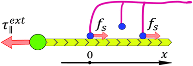 Graphical abstract: Strain dependence of cytoskeleton elasticity