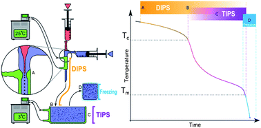 Graphical abstract: Fabrication of nanopatterned, porous microspheres using a glass capillary microfluidic device