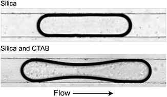 Graphical abstract: Probing timescales for colloidal particle adsorption using slug bubbles in rectangular microchannels