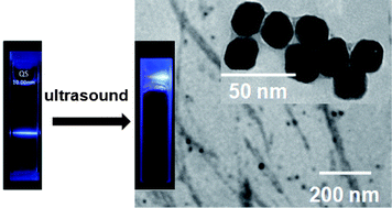 Graphical abstract: Sonication-responsive organogelation of a tripodal peptide and optical properties of embedded Tm3+ nanoclusters