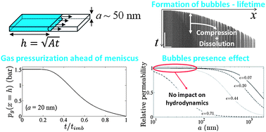 Graphical abstract: Roles of gas in capillary filling of nanoslits