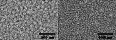 Graphical abstract: In situ evidence of the nanoparticle nucleating effect in polyurethane–nanoclay foamed systems