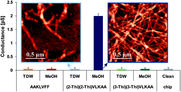 Graphical abstract: Conductance of amyloid β based peptide filaments: structure–function relations