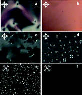 Graphical abstract: Dynamical homeotropic and planar alignments of chromonic liquid crystals