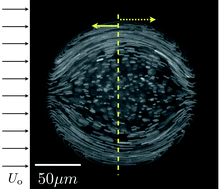 Graphical abstract: Interface-induced recirculation within a stationary microfluidic drop