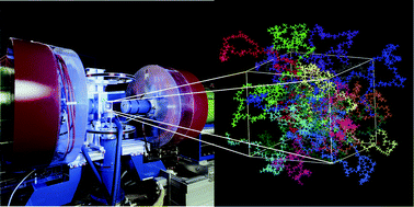 Graphical abstract: Neutron scattering and molecular dynamics simulations: synergetic tools to unravel structure and dynamics in polymers