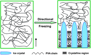 Graphical abstract: Anisotropic tough poly(vinyl alcohol) hydrogels