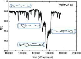 Graphical abstract: Detection of chain backfolding in simulation of DNA in nanofluidic channels