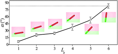 Graphical abstract: Directed self-assembly of Janus nanorods in binary polymer mixture: towards precise control of nanorod orientation relative to interface