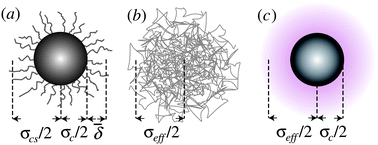 Graphical abstract: In search of colloidal hard spheres