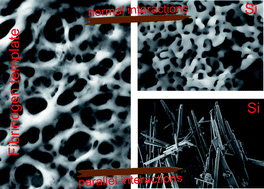 Graphical abstract: Bioinspired templates for the synthesis of silica nanostructures