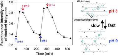 Graphical abstract: Morphogen-driven self-construction of covalent films built from polyelectrolytes and homobifunctional spacers: buildup and pH response