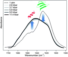 Graphical abstract: Sequential dissociation of insulin amyloids probed by high pressure Fourier transform infrared spectroscopy