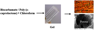 Graphical abstract: Two component gels of immiscible blends of biscarbamates (polyurethane model compounds) and poly(ε-caprolactone)